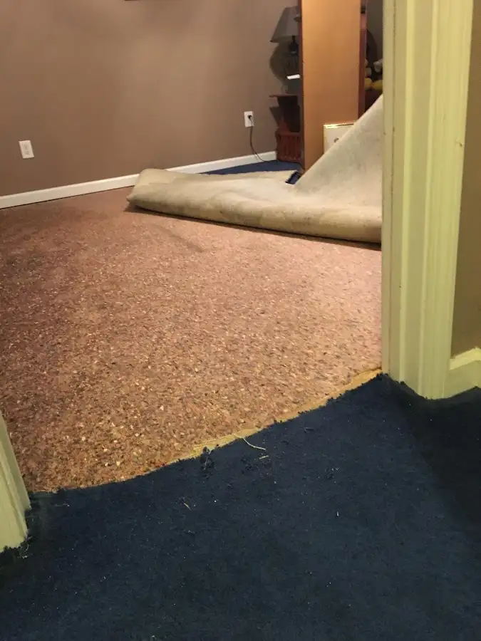 Carpet pad removal revealing water damage during Water Mitigation Services in Madison Heights