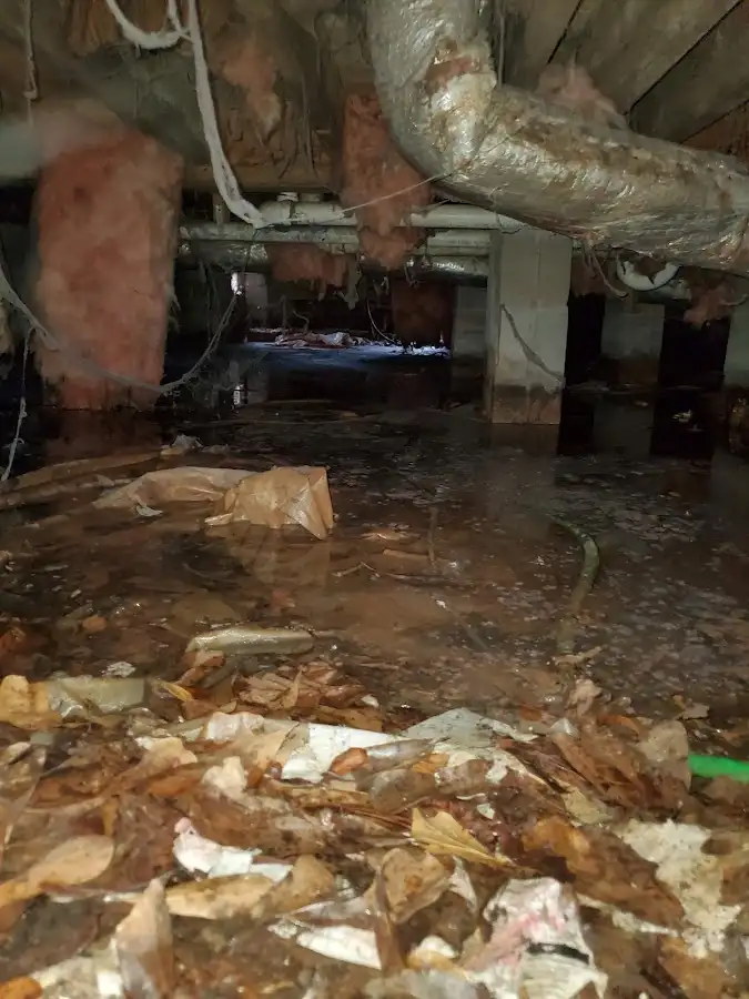 Crawl space flood assessment for Commercial Water Damage Restoration in Madison Heights
