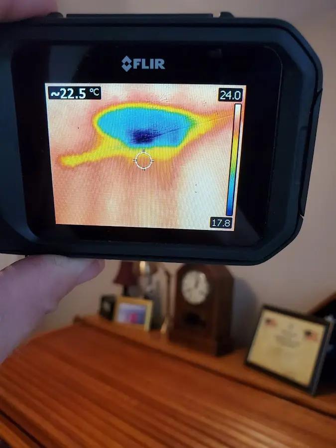 Thermal imaging inspection for water damage in Madison Heights