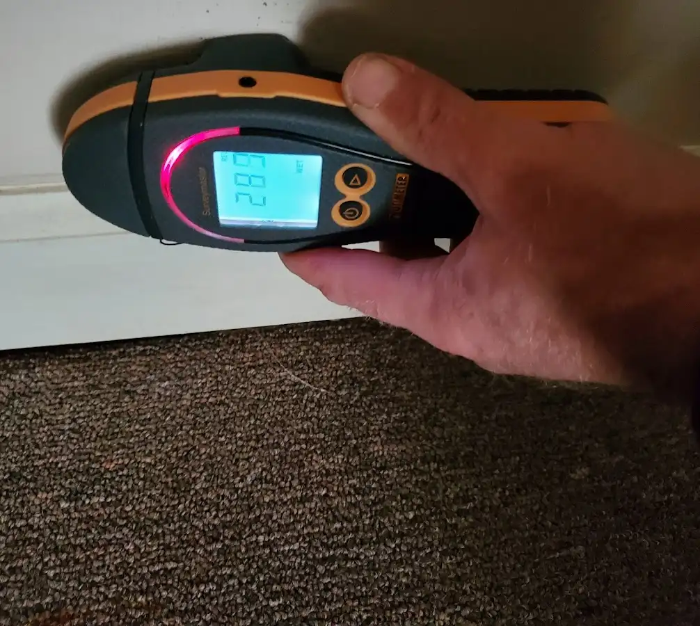 Moisture detection at baseboard during Burst Pipe Cleanup in Madison Heights
